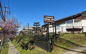 Cabanas Bosque Sur Puerto Varas Exterior photo