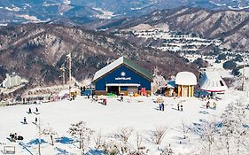 Phoenix Hotel Pyeongchang Exterior photo