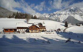 Hotel Pension-Greimelbacherhof Ramsau am Dachstein Exterior photo