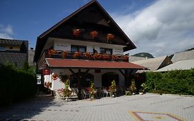 Bed and Breakfast Penzion Vila Bistrica Bohinjska Bistrica Exterior photo