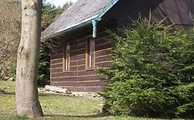 Villa Chata Dvorecna Loučovice Exterior photo