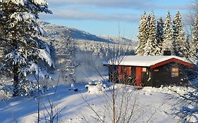 Villa Trysil Hyttegrend Exterior photo