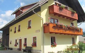 Apartments And Rooms Hodnik Slavko Bohinj Room photo