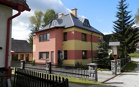 Villa Ubytovani Verner Destne v Orlickych horach Exterior photo