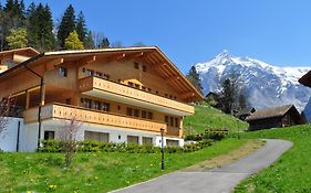 Villa Chalet Ostegg Jungfrau Exterior photo