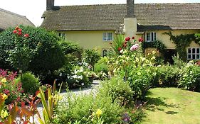 Bed and Breakfast Exmoor Owl & Hawk Centre Bossington Exterior photo