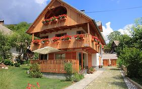 Apartments Vila Jelka Bohinj Exterior photo