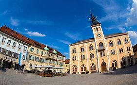 Hotel Müllerbräu Pfaffenhofen an der Ilm Exterior photo