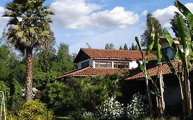 Ferienwohnung Casa Chueca - Divino Talca  Exterior photo