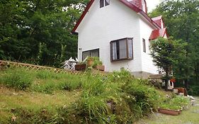 Pension & Cottage Shokubutsushi Hakuba Exterior photo