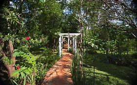 My Hotel Eco Lodge Puerto Iguazú Exterior photo