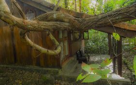 Forest Floor Lodge Cat Tien Exterior photo