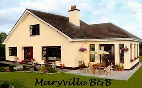 Maryville Bed And Breakfast Nenagh Exterior photo