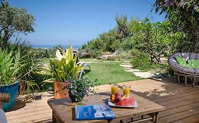Bed and Breakfast Above The Sea Ein Hod Exterior photo