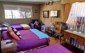 Bed and Breakfast Bed & Breakfast Blumen Haus Santiago de Chile Exterior photo