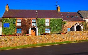 King'S Head Inn Llangynydd Exterior photo