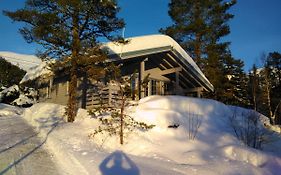 Villa Jolsterlia Hyttetun Årdal Exterior photo