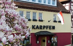 Hotel Zum Karpfen Obernburg am Main Exterior photo