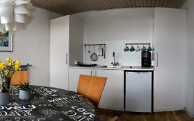 2 rooms, private kitchen, bathroom,&garden. Århus Exterior photo