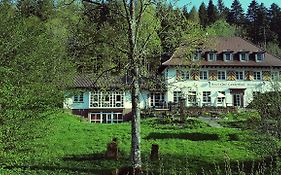 Gut Lauterbad Hotel Freudenstadt Exterior photo