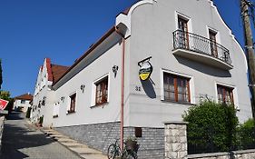 Bed and Breakfast Natural Panzio Győr Exterior photo