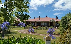 Bed and Breakfast Orana House Hobart Exterior photo