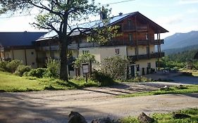 Berghotel Mooshütte Lohberg Exterior photo