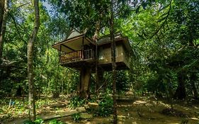 Baan Khaosok Resort Khao Sok National Park Exterior photo