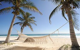 Las Ranitas Eco Boutique Hotel Tulum Exterior photo