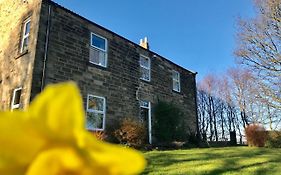 Bed and Breakfast Riding Farm Gateshead Exterior photo