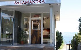 Salamandra Apartamentos El Calafate Exterior photo