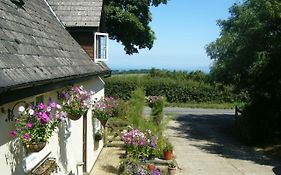 Southdown B&B Clovelly Exterior photo