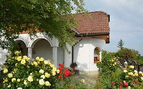 Hotel Pension Restaurant Rosenberg Jennersdorf Exterior photo