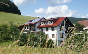 Hotel Pension Haus-Sommerberg Baiersbronn Exterior photo