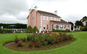 Bed and Breakfast Ballingowan House Newcastle West Exterior photo