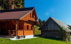 Villa Holiday House Pokrovec - Bohinj Exterior photo