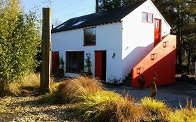 The Village B&B Moate Exterior photo