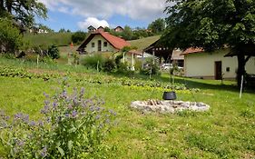 Villa Domacija Vesel Trebnje Exterior photo