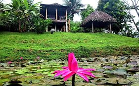 Gasthaus Bluff Hidden Paradise Bocas del Toro Exterior photo