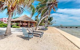 Hotel Hibiscus @ Caribe Island San Pedro  Exterior photo