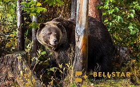 Palliser Lodge — Bellstar Hotels&Resorts Golden Exterior photo