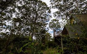 Villa Green Leaves Cabin Denmark Exterior photo