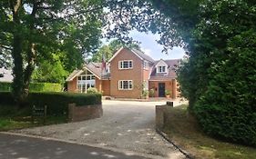 Bed and Breakfast Ha'Penny Acre Sherfield English Exterior photo