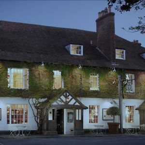 Hotel The Leicester Arms Penshurst Exterior photo