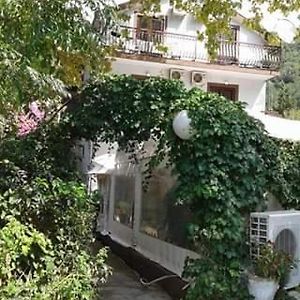 Bed and Breakfast Pansion Mimoza Herceg Novi Exterior photo