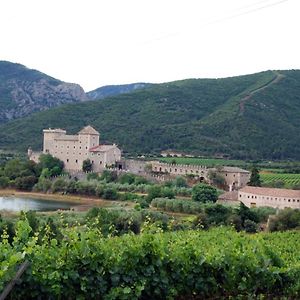Ferienwohnung Castell De Riudabella Vimbodi I Poblet Exterior photo