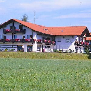 Hotel Pension an der Linde Bad Birnbach Exterior photo