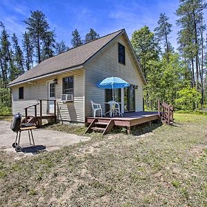 Villa Secluded Irons Cabin With 5-Acre Yard, Deck, Grill! Exterior photo
