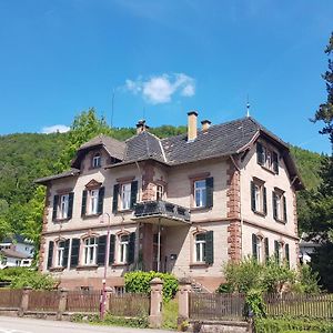 Forsthaus Merzalben Hostel Exterior photo