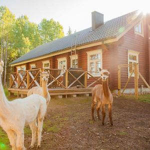 Villa Heinähattu Kouvola Exterior photo